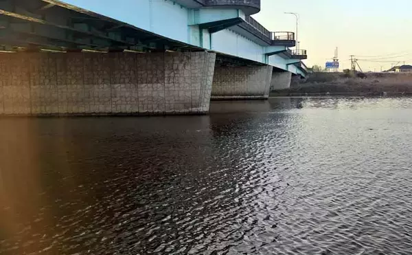 「「バチ抜けは確認できず」バイブレーションルアーに60cm級シーバス2連発【千葉】」の画像