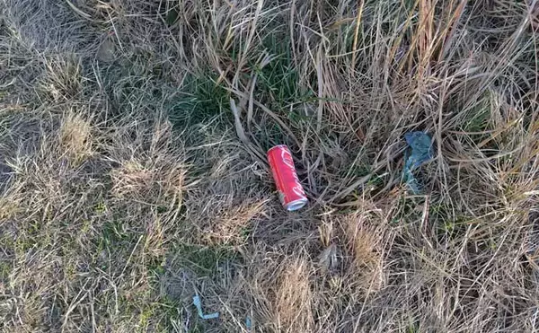 「「バチ抜けは確認できず」バイブレーションルアーに60cm級シーバス2連発【千葉】」の画像