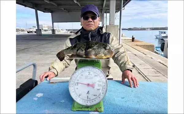 「「メバル・カサゴ絶好調！」1投目からラストまで入れ食い続く日も【船釣り最釣果速報・愛知】」の画像