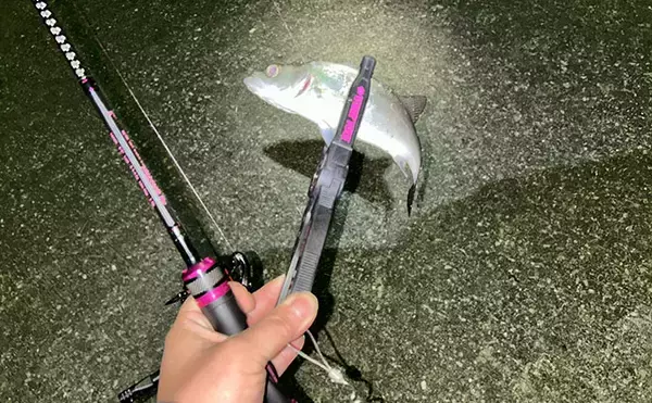 「考え過ぎて迷走しがちなルアーマン必見！　簡単「五目釣りメソッド」で多魚種が連発」の画像