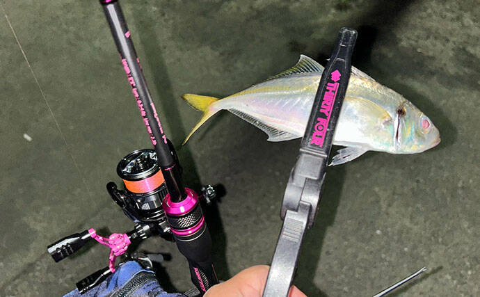 考え過ぎて迷走しがちなルアーマン必見！　簡単「五目釣りメソッド」で多魚種が連発