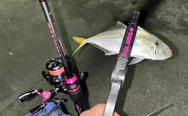 「考え過ぎて迷走しがちなルアーマン必見！　簡単「五目釣りメソッド」で多魚種が連発」の画像