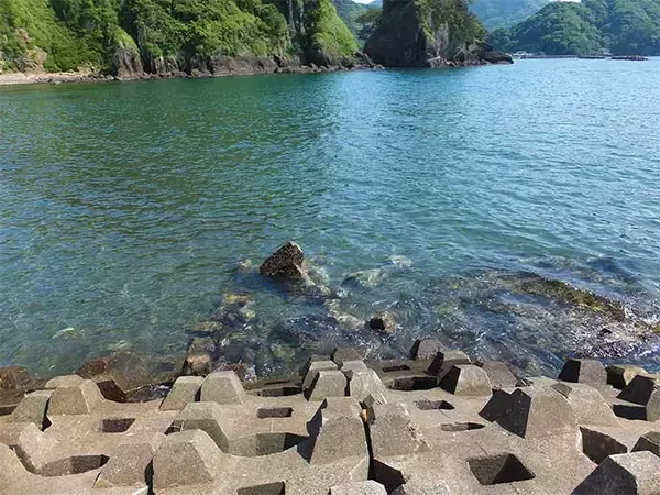 「堤防でワーム使った穴釣り堪能　消波ブロックの隙間狙い今季初ムラソイ」の画像