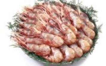 高級食材「ボタンエビ」にしては妙に安い『ボタンエビ』の正体とは？