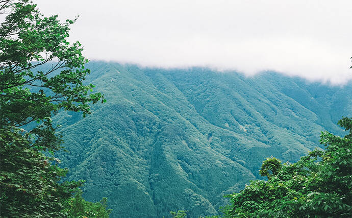 渓流ルアー釣りでヤマメを3尾キャッチ【鳥取・千代川水系】源流域ではアマゴと対面