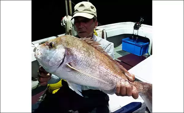 「【釣果速報】夜焚きイカ釣りでダブルトリプル連チャンでクーラー満タン（玄界灘）」の画像