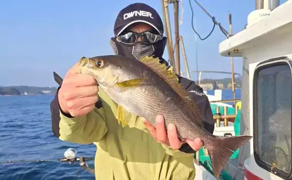 「那智勝浦沖で美味魚乱舞！【和歌山・良丸】50cm超えシロアマダイに40cm級イサキなど」の画像