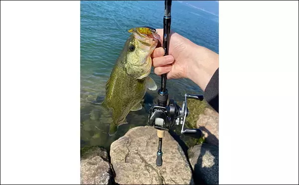 「注目の次世代リング『トルザイトリング』のメリットとデメリット　フィネス派に好適か？」の画像