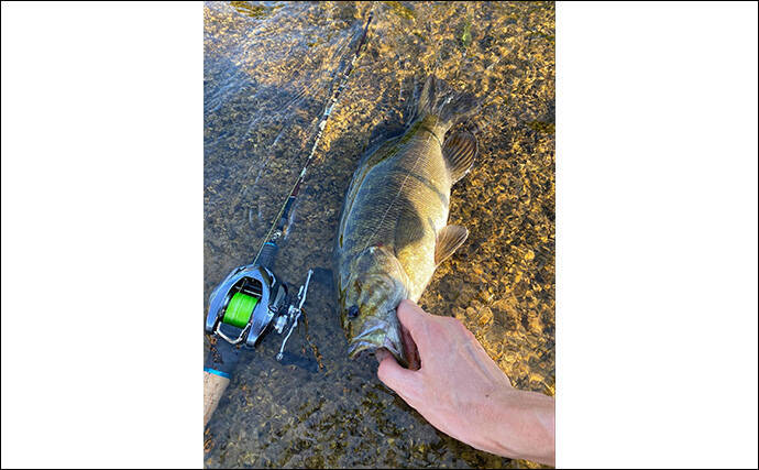 注目の次世代リング『トルザイトリング』のメリットとデメリット　フィネス派に好適か？