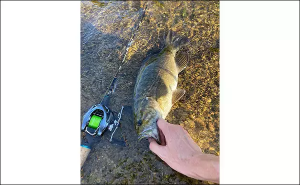 「注目の次世代リング『トルザイトリング』のメリットとデメリット　フィネス派に好適か？」の画像