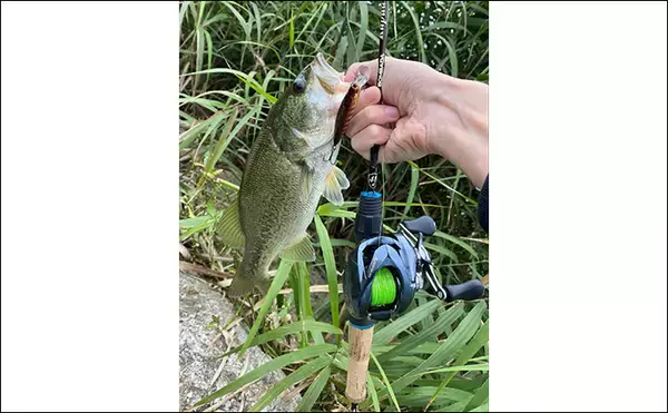 「注目の次世代リング『トルザイトリング』のメリットとデメリット　フィネス派に好適か？」の画像