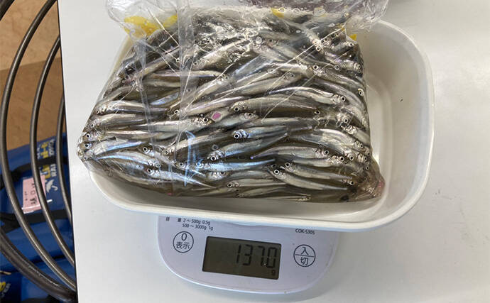 入鹿池ボートワカサギ釣りが絶好調！【愛知】魚影濃く本命638匹を手中