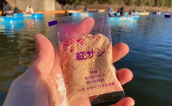 「入鹿池ボートワカサギ釣りが絶好調！【愛知】魚影濃く本命638匹を手中」の画像