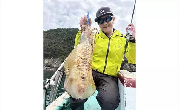 「2kg級の大型アオリイカ乱舞！春のティップランエギング絶好調【オフショアルアー最新釣果9選・三重】」の画像