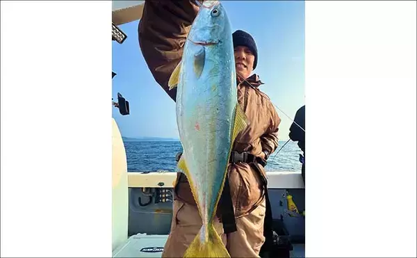 「2kg級の大型アオリイカ乱舞！春のティップランエギング絶好調【オフショアルアー最新釣果9選・三重】」の画像
