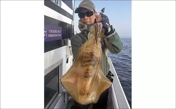 「2kg級の大型アオリイカ乱舞！春のティップランエギング絶好調【オフショアルアー最新釣果9選・三重】」の画像