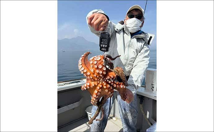 良型イシダイが好ヒット！ゲスト交じりに石鯛五目便が好調【船釣り最新情報４選・大分／熊本】
