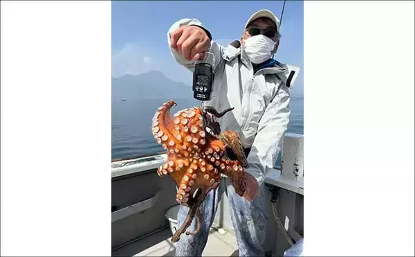 「良型イシダイが好ヒット！ゲスト交じりに石鯛五目便が好調【船釣り最新情報４選・大分／熊本】」の画像