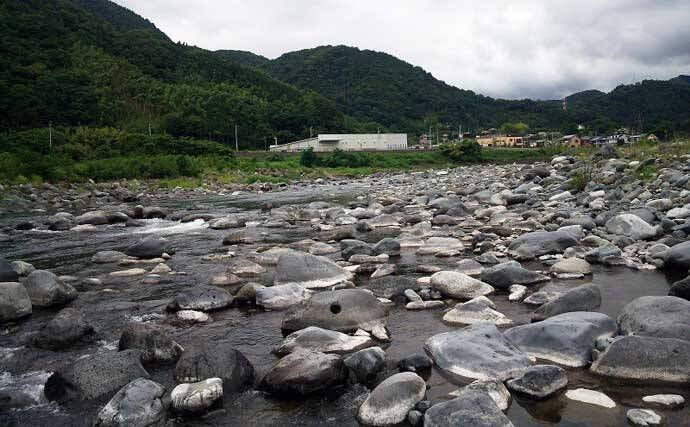 酒匂川アユ釣り解禁情報2026 【神奈川】　魚影濃くアクセスも良好な人気河川