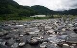「酒匂川アユ釣り解禁情報2026 【神奈川】　魚影濃くアクセスも良好な人気河川」の画像2