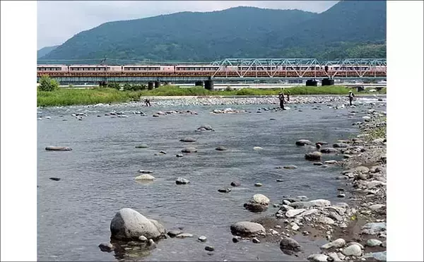 「酒匂川アユ釣り解禁情報2026 【神奈川】　魚影濃くアクセスも良好な人気河川」の画像