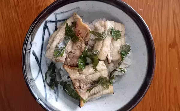 「平作川支流でのウナギ釣り良型4尾キャッチ！【神奈川】ザリガニむき身とミミズ餌にヒット」の画像
