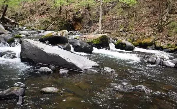 「渓流釣りポイント紹介【長野・木曽川水系】貴重なヤマトイワナが生息」の画像