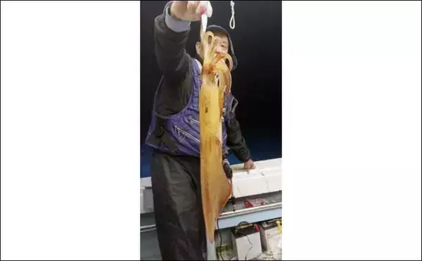 「【船のエサ釣り釣果速報】天ビン釣りでイシダイ混じりに良型イサキ順調（福岡）」の画像