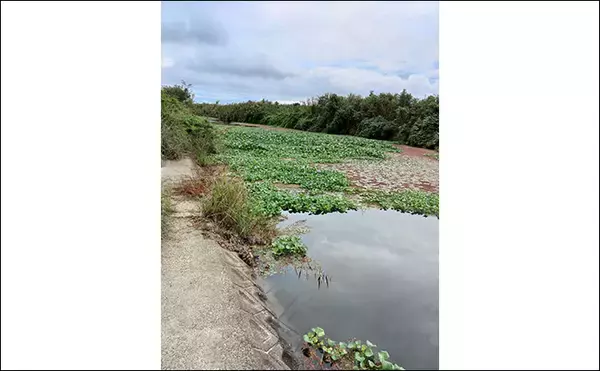 「メジャーフィールド「紀の川」でバスフィッシング堪能【和歌山】50cm級バスを狙い撃つ！」の画像