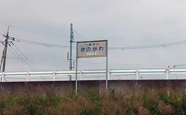 「メジャーフィールド「紀の川」でバスフィッシング堪能【和歌山】50cm級バスを狙い撃つ！」の画像