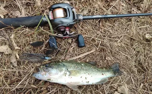 「メジャーフィールド「紀の川」でバスフィッシング堪能【和歌山】50cm級バスを狙い撃つ！」の画像