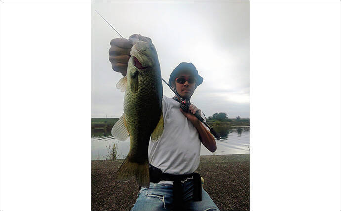 メジャーフィールド「紀の川」でバスフィッシング堪能【和歌山】50cm級バスを狙い撃つ！