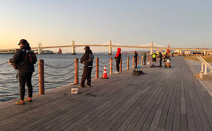 堤防サビキ釣りで25cm頭にアジ40匹手中！【福島】ぶっこみサビキで入れ食い満喫