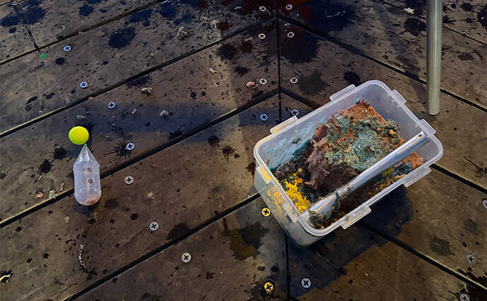 堤防サビキ釣りで25cm頭にアジ40匹手中！【福島】ぶっこみサビキで入れ食い満喫