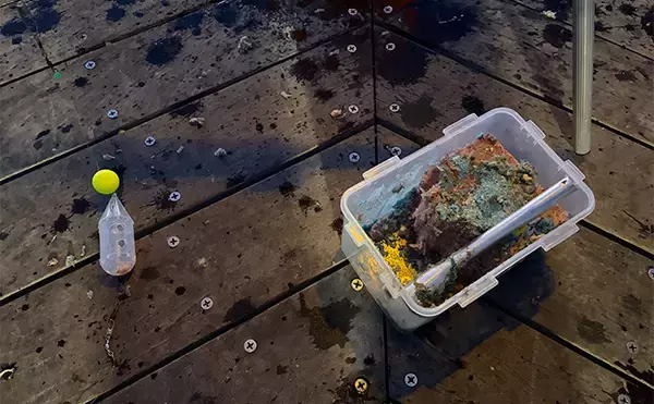 「堤防サビキ釣りで25cm頭にアジ40匹手中！【福島】ぶっこみサビキで入れ食い満喫」の画像