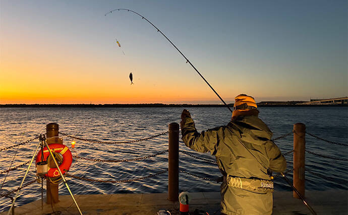 堤防サビキ釣りで25cm頭にアジ40匹手中！【福島】ぶっこみサビキで入れ食い満喫