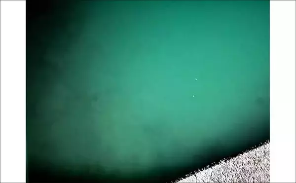 「漁港エギング釣行でコウイカ5連発！「ボトムウォーク」アクションが的中」の画像