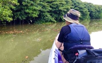 石垣島「マングローブ・カヤックフィッシング」完全ガイド　とびきりの非日常感！
