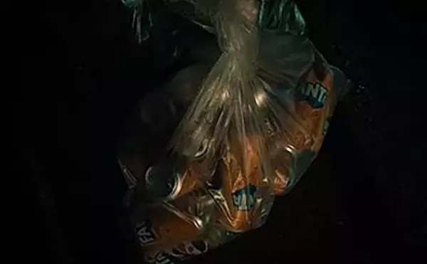 「「漁師さんの邪魔はしない！」 海釣り初心者が漁港で釣りをする際の3つの注意点」の画像