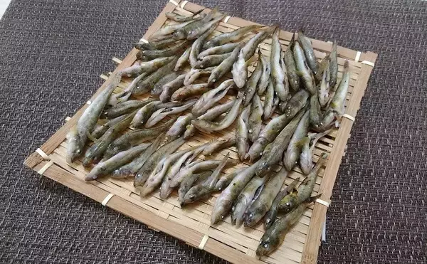「ハゼの「味変」レシピ3選　和洋中それぞれのバリエーションを紹介」の画像