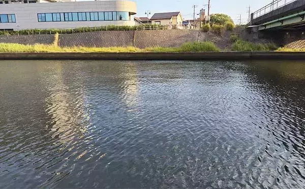 「ナイトシーバス釣行の最強切り札『バイブレーション』ルアーで70cm級本命登場」の画像