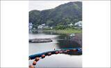 「今週のヘラブナ推薦釣り場2024【山梨・河口湖】」の画像4