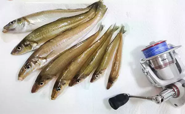 「「お盆休み後半は房総半島で釣りをしよう！」アクアライン渋滞予測を元に快適プランを考えてみた」の画像