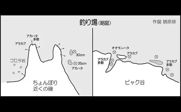 「磯でのロックフィッシュゲームで良型アカハタに50cm級オオモンハタを好捕【宮崎】」の画像