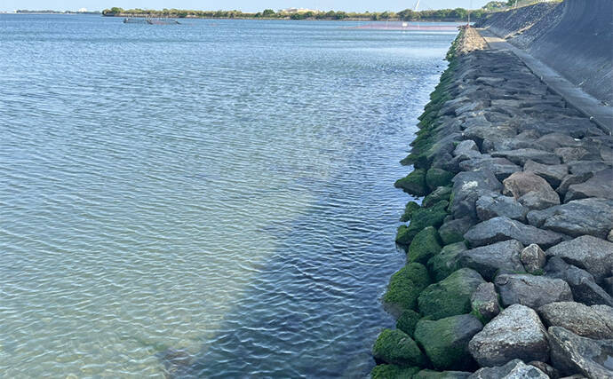人気釣りフィールド「浜名湖」の不人気ポイント【表鷲津湖岸公園】はマゴチパラダイス？