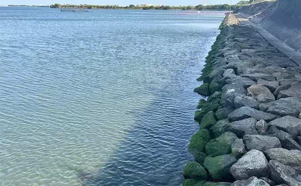 「人気釣りフィールド「浜名湖」の不人気ポイント【表鷲津湖岸公園】はマゴチパラダイス？」の画像