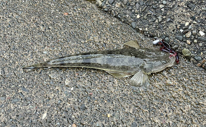 人気釣りフィールド「浜名湖」の不人気ポイント【表鷲津湖岸公園】はマゴチパラダイス？