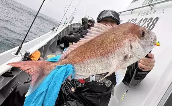 「【沖釣り釣果速報】良型マダイに2kg超浮上！五目釣りでヒメダイ・ハチビキなど多彩にヒット（愛知・静岡）」の画像
