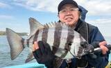「【沖釣り釣果速報】良型マダイに2kg超浮上！五目釣りでヒメダイ・ハチビキなど多彩にヒット（愛知・静岡）」の画像9