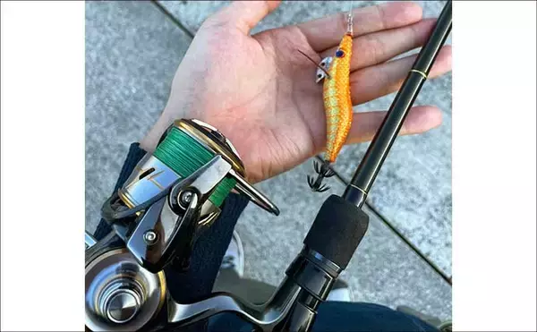 「深日港での陸っぱりタチウオゲームで本命不発もジグサビキでボウズ逃れ成功【大阪】」の画像